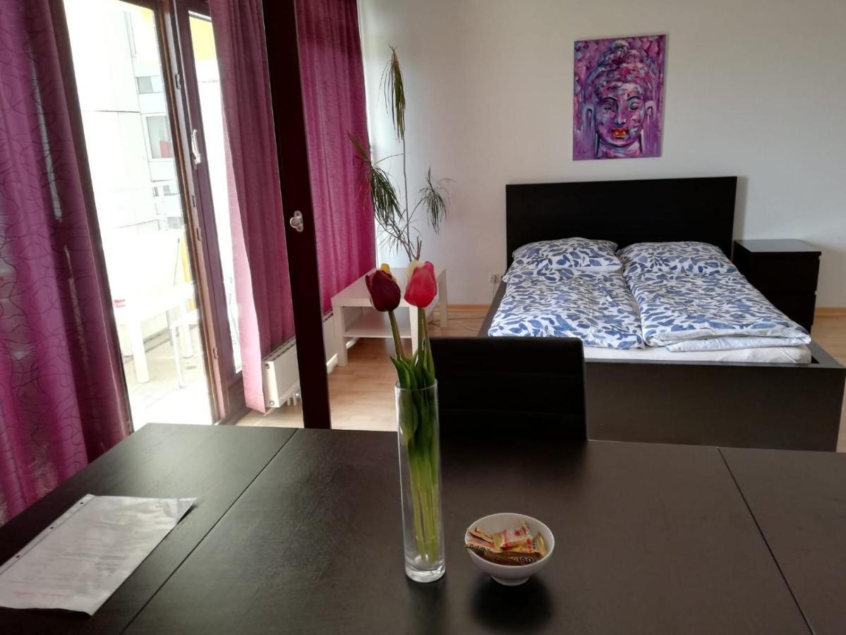 Studio Schwabing Fantastic Sunset View Munich